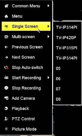Single Screen: Display video live view one at a time. Click on Single Screen and then choose the camera you want.