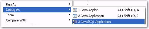 Application from the Main Menu. The Debug dialog appears and the debugging process on the java code begins.