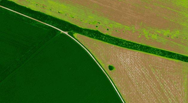 Precision Agriculture and Environmental Management Customized vegetation index calculation With support for panchromatic, multispectral and thermal imagery, PhotoScan seamlessly integrates into