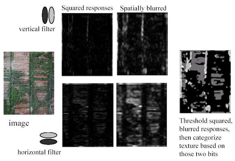 Blurring to spatially integrate get the mean Classification to 4 classes outputs of horizontal, vertical, both or neither are large Extracting structure with filter banks Convolution with a filter