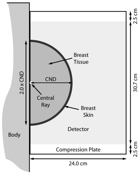 Figure 2.4 Diagram of the simulated CC view. steps. The glandular fraction was defined as the weight fraction of the breast that consists of glandular tissue and was set to 1, 25, 50, 75, and 100%.