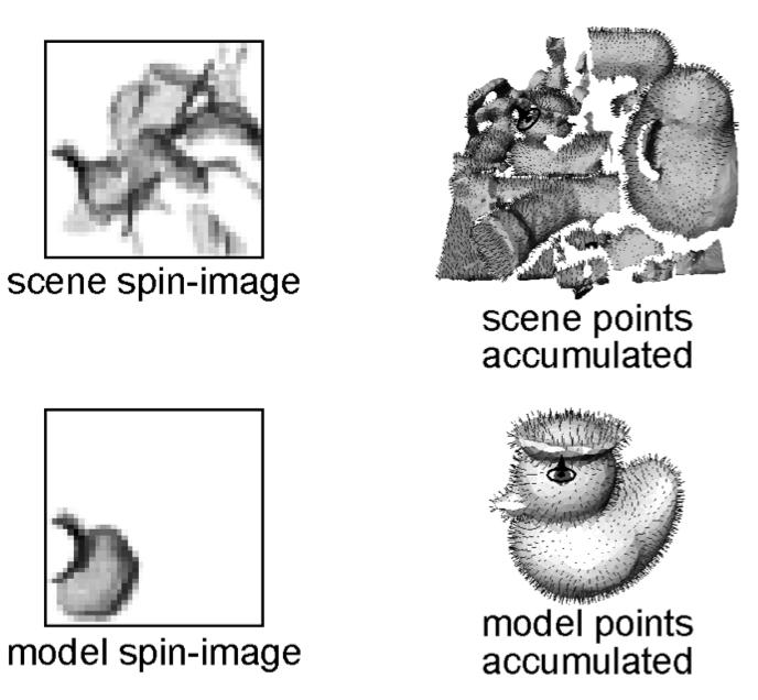 Spin Images