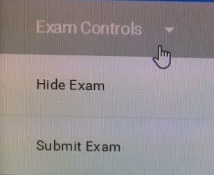 All students must stop working and click Submit Exam when the proctor announces the end of the exam.