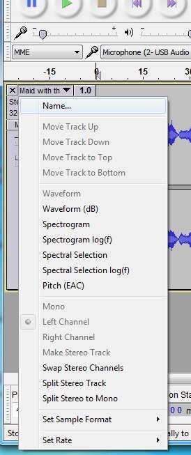 In Audacity, you have the option of naming each track separately.