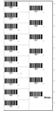 Program Barcode Program Option Bar Code Option Alphanumeric Entry Keyboard Wedge Interface RS-232 selection Wand