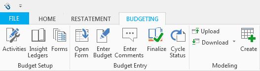 Insight Ledgers Access to view the ledger setup dialog used in budgeting or forecasting. Forms Enables you to view the forms dialog.