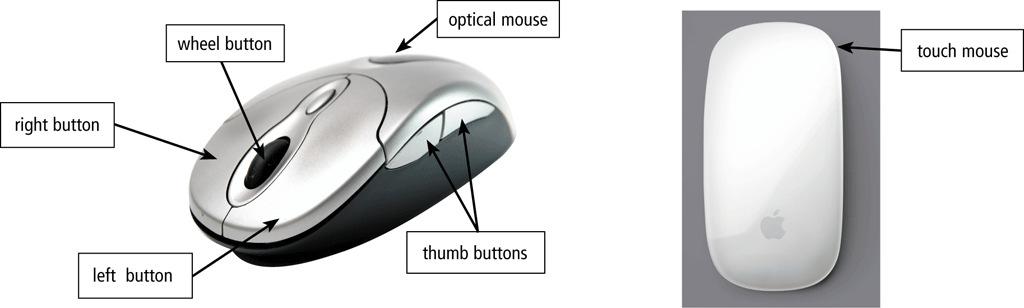 Pointing Devices A mouseis a pointing device that fits under the palm of your hand comfortably Optical