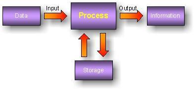 Information Processing Cycle 1.