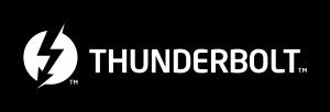 Thunderbolt TM 2 Doubles previous speed to 20 Gbps Target audience is
