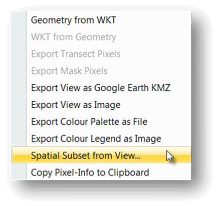 Select Spatial Subset from View