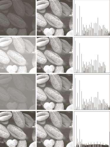 The inverse transform from s back to r is denoted by r T ( 1 k s k ) k=0,1,2.l-1 Fig: (a) Images (b) Result of histogram equalization (c) Corresponding histogram.