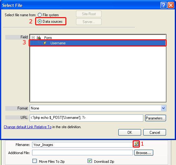 Leave the default Name that is used to identify the behavior. Select the Form as our Source. Select the Zip option to zip the files selected by the user.
