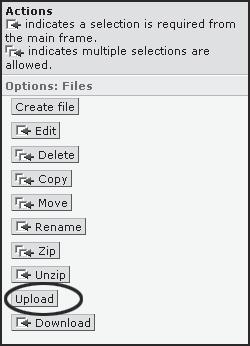 Uploading a file Uploading and Zipping Files 1. Return to WebCT and the Manage Files page. In the Actions frame, under Options: Files click the Upload button. 2. The Upload File page will appear.