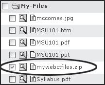 Uploading and Zipping Files 1. Next, the file needs to be unzipped so all the files can be used in WebCT.