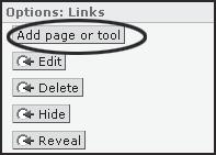 Adding Files to WebCT Pages 2. At the Add Organizer Page, type Unit 4 into the Enter a title for the page field. Select the On an Organizer Page checkbox.