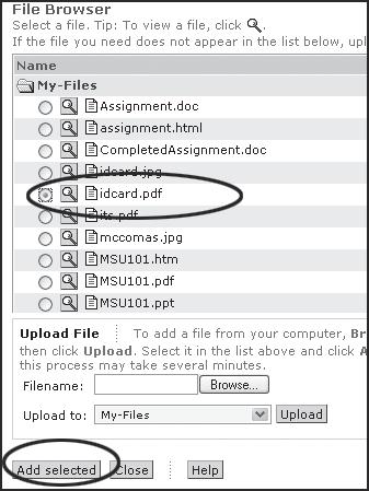 Adding Files to WebCT Pages 6. On the Add Single Page page, use ID Card Diagram as your title for the field Enter a title for the page. The file is one of the files we uploaded earlier.