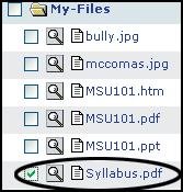 Copying a file Managing WebCT Files 1. From the Manage Files page, select the file Syllabus.