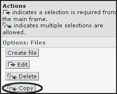 In the Actions frame, under Options: File click the Copy button. 2.