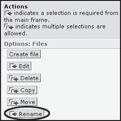 Renaming a file Managing WebCT Files 1. From the Manage Files page, select the file bully.