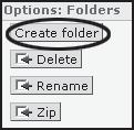 2. The Rename file page will appear. In the New name field enter the new desired named.