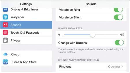Tap the function, feature, or app you want to configure, such as Sounds. Its controls appear in the right pane. 5.