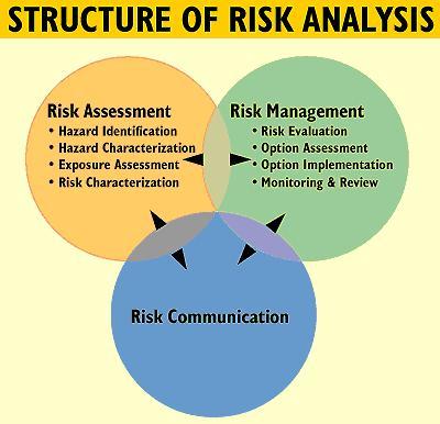 Risk Analysis, an increasingly important tool in engineering and business,