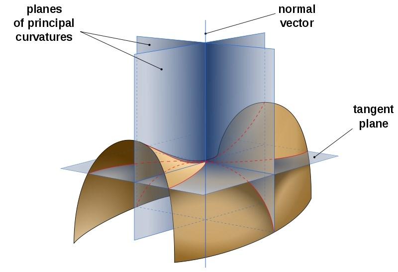 Principal curvatures Surface normal at a point Maximum curvature κ 1 Minimum curvature κ 2 Principal