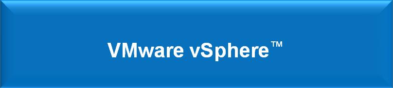 VMware View