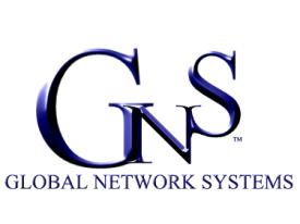 Due to the company s special and unique concentration towards its clients, their requirements and needs; GNS has been very successful in capturing business in the Information