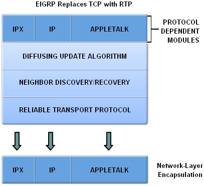 EIGRP Reliable Transport Protocol (RTP) Purpose of RTP Used by EIGRP to transmit and receive EIGRP packets EIGRP was designed as a Network layer independent routing protocol; therefore, it cannot use