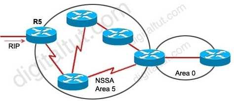 A. type 1 Router LSA B. type 2 Network LSA C. type 3 Network Summary LSA D. type 4 ASBR Summary LSA E. type 5 AS External LSA F.