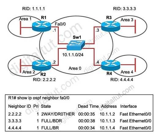 A. Router R1 will only establish full adjacency with the DR and BDR on broadcast multiaccess networks. B. Router R2 has been elected as a DR for the broadcast multiaccess network in OSPF area C.