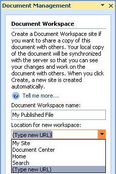 The Document Management pane will open again, but will show content different from what we have seen previously in this lesson: Enter the name of the document workspace in the space provided (the