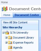 Now, if you use your Web browser to open the SharePoint Web site that you published to, you should see that the new library that you