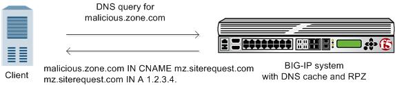 Each RRset includes the names of the malicious domain and any subdomains of the domain.