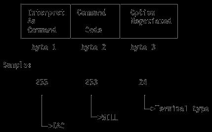 iv. DHCP Hardware address length (1 byte) Hardware type (2 bytes) Protocol address length (1 byte) Source