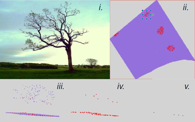 Figure 3 i. A stressed or risk tree (Tree B). ii. Tree B in the larger dataset before extraction. iii. Tree B s data point cloud showing 1st, 2nd and 3rd returns. iv.