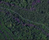 Major Advantage of LiDAR (foliage penetration) Forest appears impenetrable for