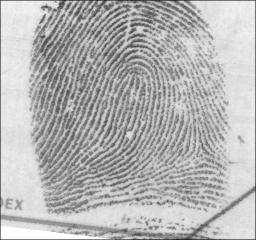 biomouse Fingerprint scanner Vital