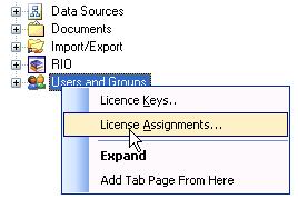 Users and Groups Set User Licenses When users are first synchronized against the ERP system, the Set User Licenses dialog allows you to manage License Keys and Insight Module Licenses.