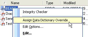 Creating Data Dictionary Overrides for a Profile The Data Dictionary Override is designed to override settings held within the JD Edwards Data