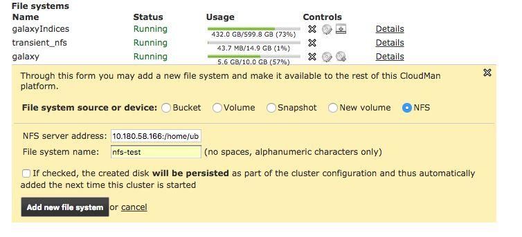 Additional file systems can be made part of your system CloudMan can work with S3 buckets, volumes,