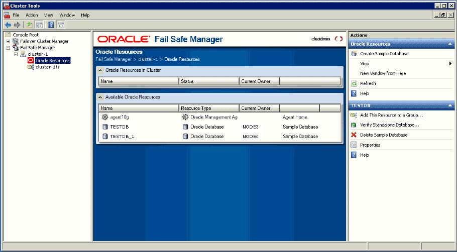 Benefits of Oracle Fail Safe An integrated family of verification tools that automatically diagnose and fix common configuration problems both before and after configuration Online documentation,