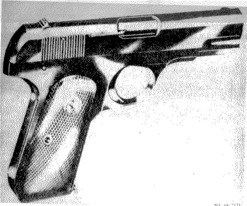 Figure 3. Colt Caliber.
