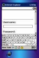 Getting started Entering text in text boxes Text boxes in a Web browser on a Pocket PC are similar to those in a Windows desktop application.