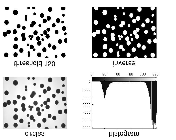 binary image operations thresholding labelling simple descriptors area, perimeter, euler number morphological