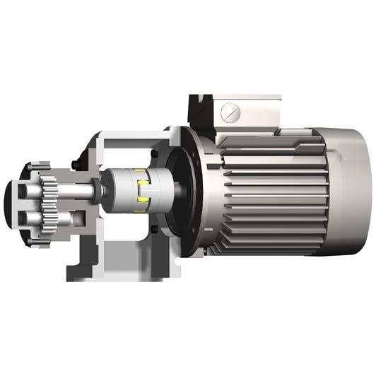 Electric-gear-pumps series FKM Construction Self-priming electric-gear-pumps, bellhousing with foot-flange, pump-casing in cast iron. Gear-pumps series FKM with motor-power up to 1,5.