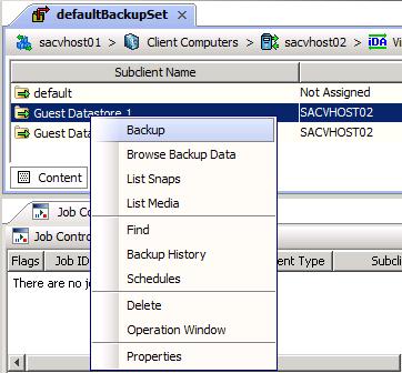 Figure 34: Backup single subclient The Backup Options window appears for the Subclient.
