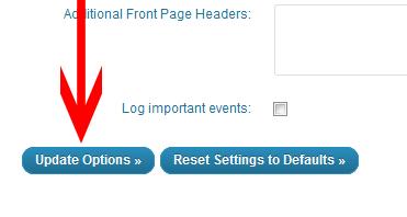 Now the rest can be left, head to the bottom of the page and hit "Update Options" Google analytics can