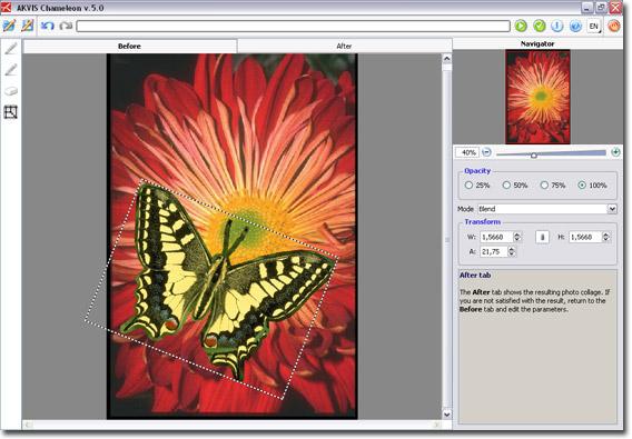 Chameleon Mode 6. Use the Transform tool from the Toolbox to change the size, the position, and the rotation angle of the pasted fragment on the background image (Pic. 5).